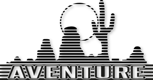 Sticker cactus aventure - G