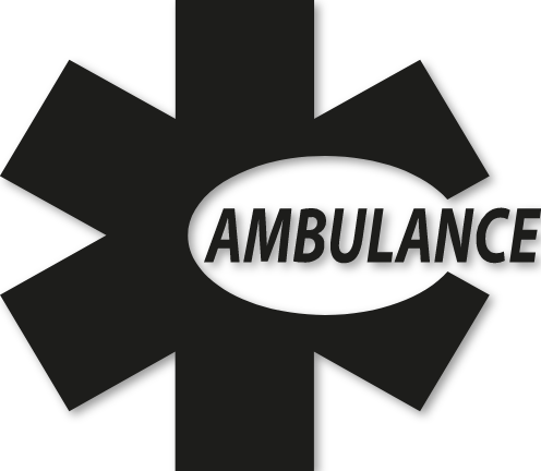 Sticker caducée modèle 13