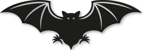 Sticker chauve souris Barbastelle d'Europe