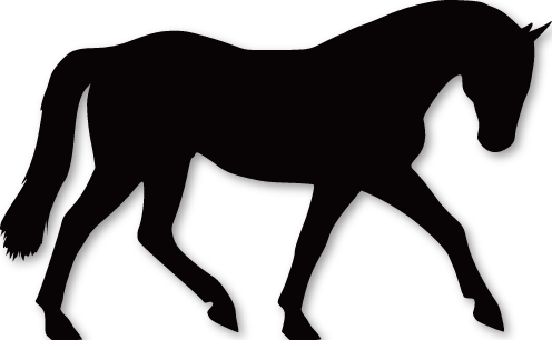 Sticker cheval d'équitation