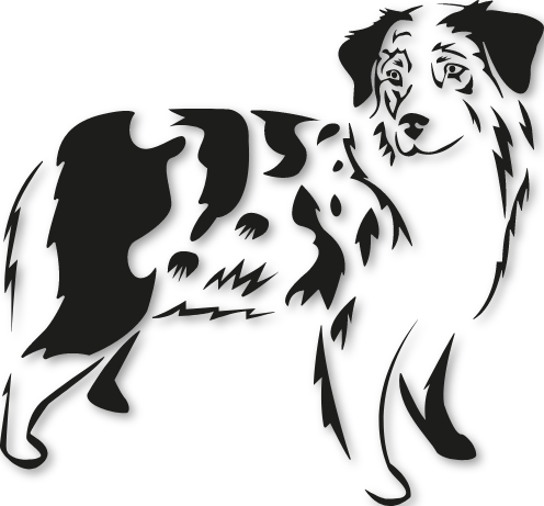 Sticker chien berger australien