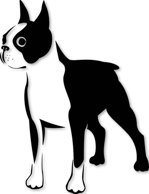 Sticker chien Boston Terrier