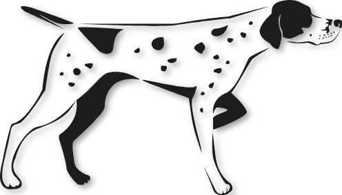 Sticker chien Pointer