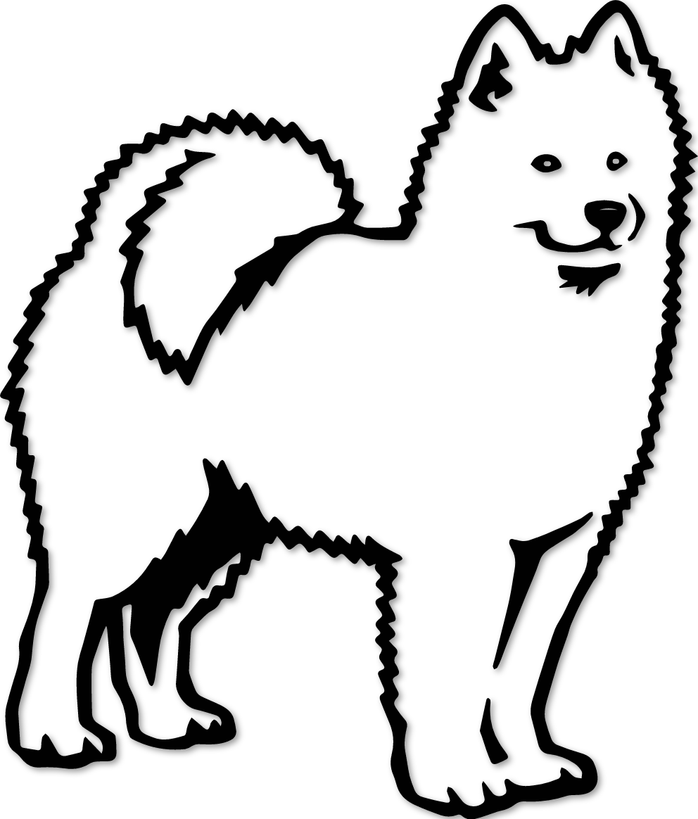 Sticker chien Samoyède