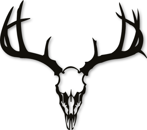 Sticker crâne de cerf