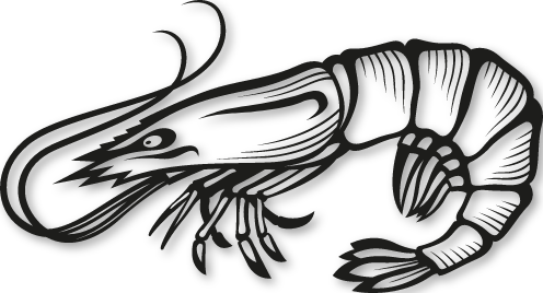 Sticker crevette grise