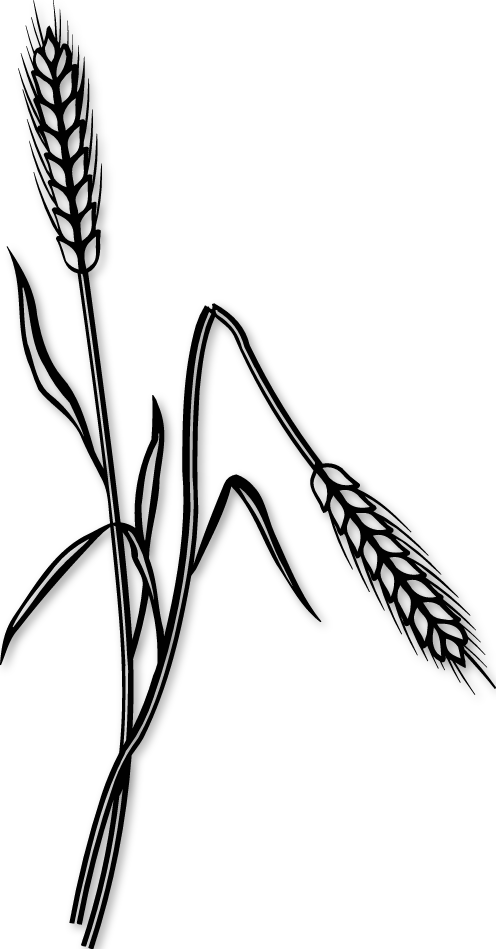 Sticker épis de blé