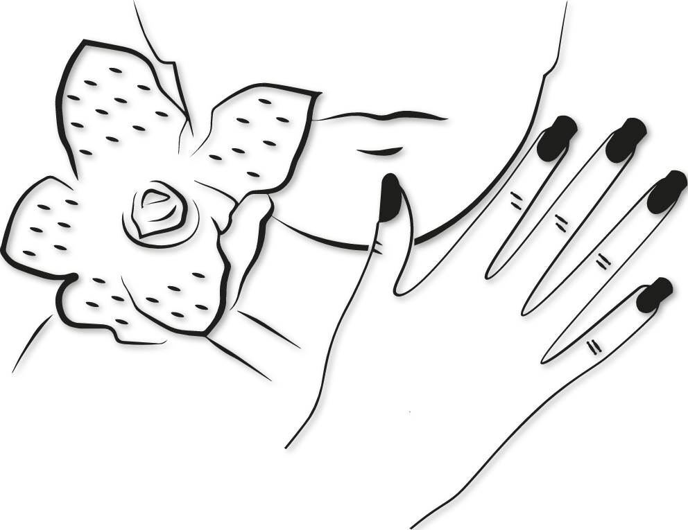 Sticker esthéticienne main visage