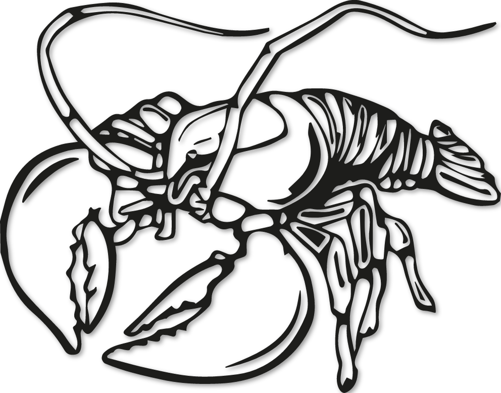 Sticker langouste royale