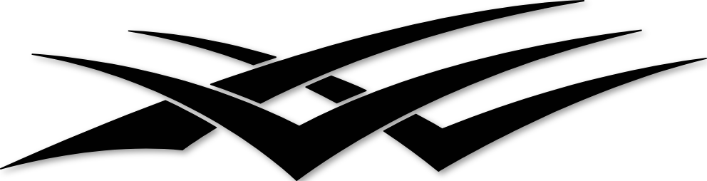 Sticker latéral véhicule SCCM02