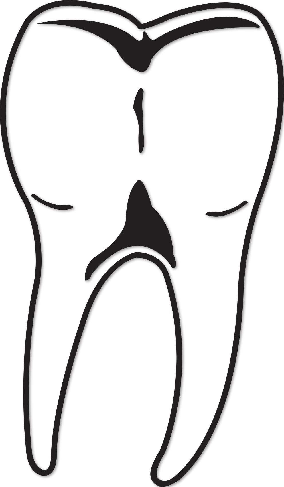 Sticker molaire MPS01