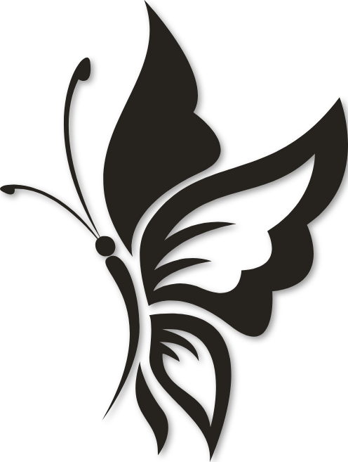 Stickers papillon apollon