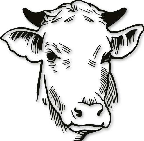 Sticker tête de veau