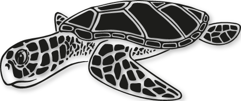 Sticker Tortue de Mer - Élégance marine