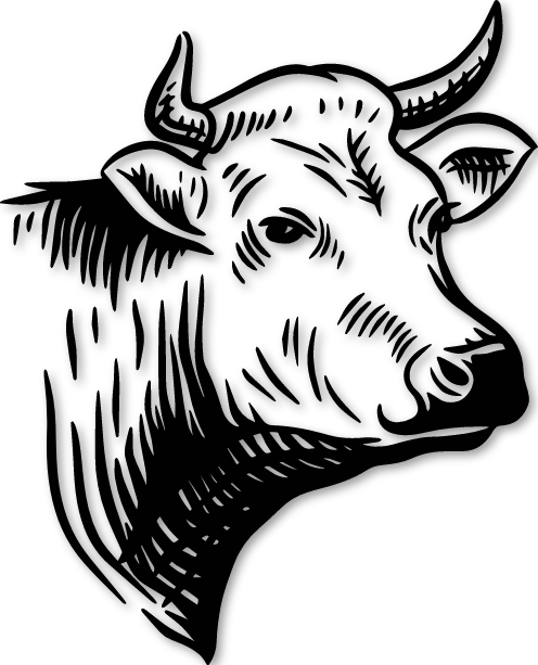 Sticker vache limousine