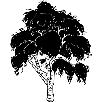 Sticker arbre : 05