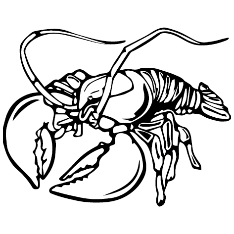 Sticker langouste : SP02