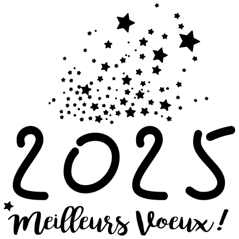 Sticker meilleurs vœux 2025