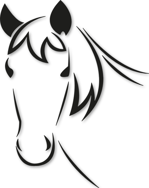 Tête buste de cheval