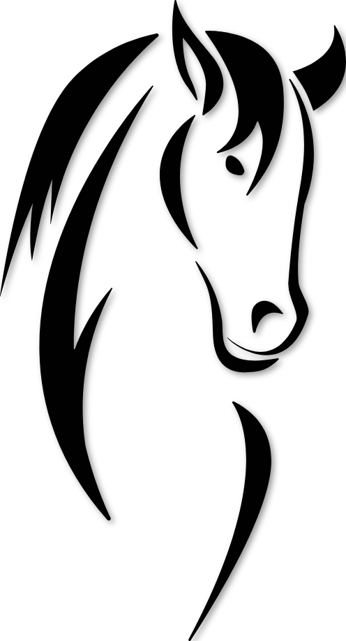 Tête cheval de Camargue