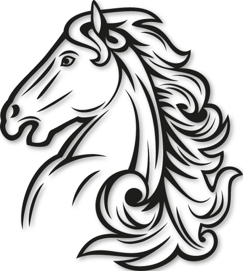 Tête de cheval pur sang Arabe